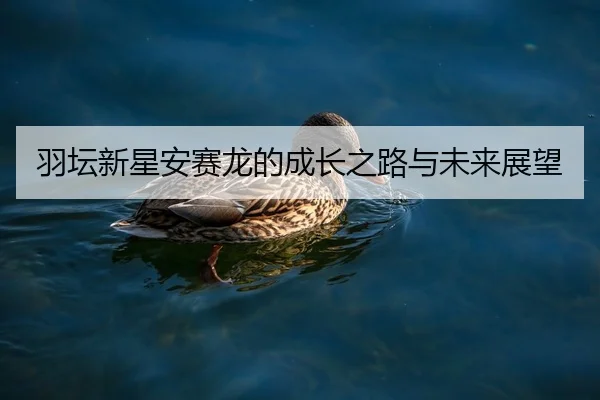 羽坛新星安赛龙的成长之路与未来展望