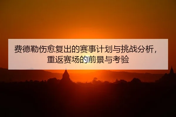 fei-de-lei-shang-yu-fu-chu-de-sai-shi-ji-hua-yu-tiao-zhan-fen-xi-chong-fan-sai-chang-de-qian-jing-yu-kao-yan-2-404.jpg